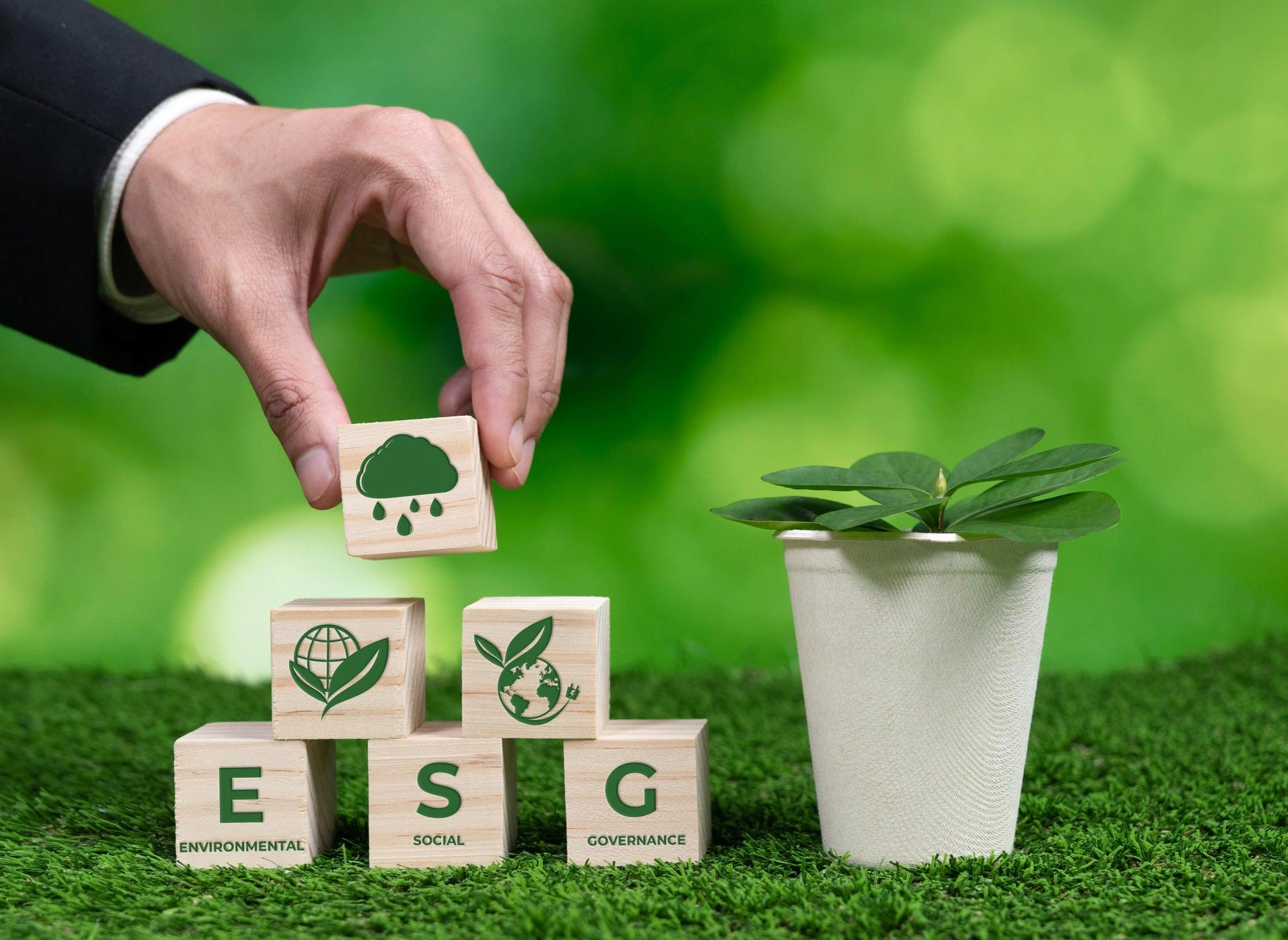 ESG ASSURANCE